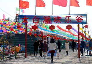 春节假期济宁文旅活动精彩纷呈 文化旅游备受追捧